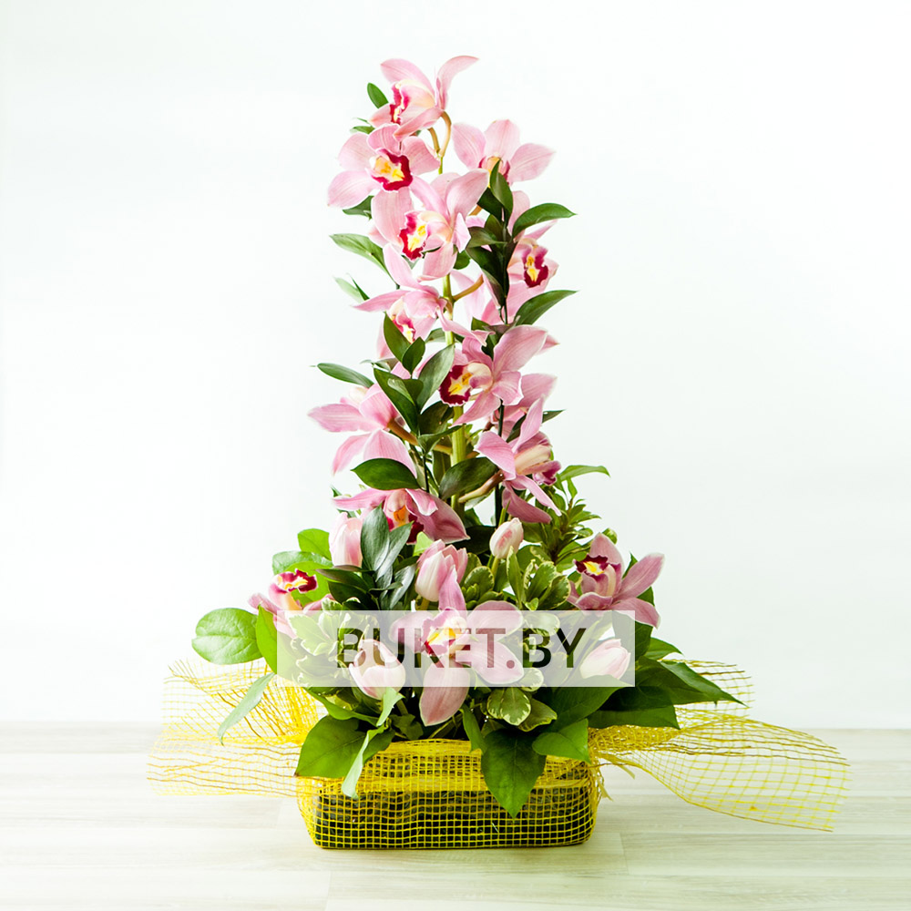 Композиция из орхидей с тюльпанами