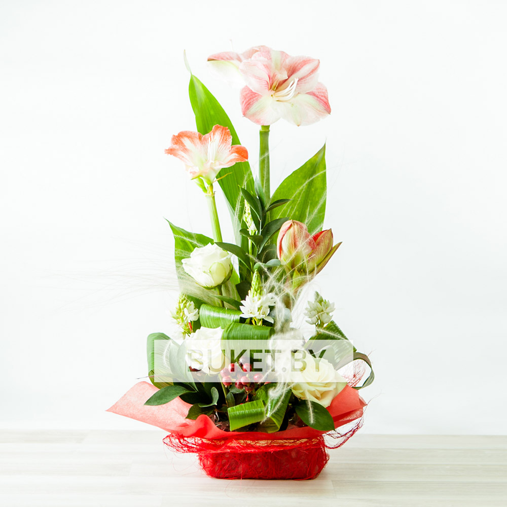Композиция из роз с амариллисами