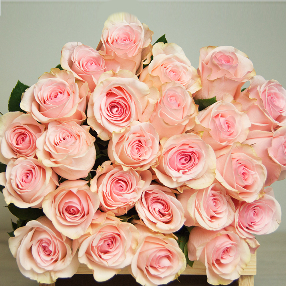 Букет из роз сорта "Новиа"